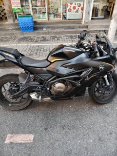 QJMOTOR SRK 250 - photo 2