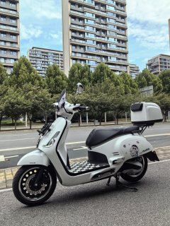 Sundiro Honda NS150LA - ფოტო 7