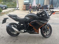 Voge 300RR - ფოტო 1