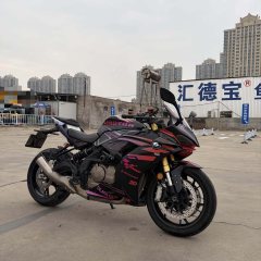 QJMOTOR Sai 600 - photo 2