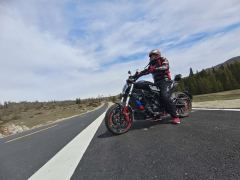 Benelli 502C 500 cc - ფოტო 4