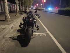 Benda Chinchilla 500 - photo 1