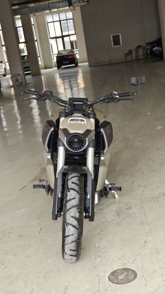 Benda LFC700 Liaoliao - photo 2