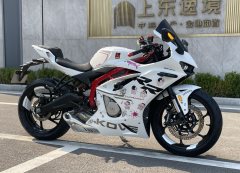 Kayo 450RR - ფოტო 3