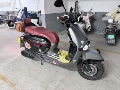 Weiduoliya Sixties 150Si - ფოტო 2