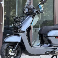 Weiduoliya Sixties 250Si - ფოტო 7