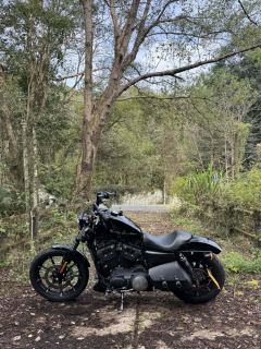Harley-Davidson Iron883 Tough Guy - ფოტო 1