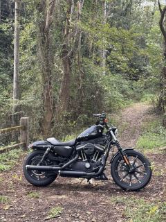 Harley-Davidson Iron883 Tough Guy - ფოტო 2
