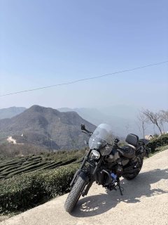 CFMOTO 450CL-C - фото 10