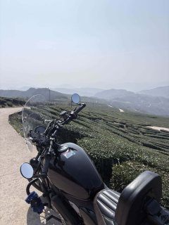 CFMOTO 450CL-C - фото 9