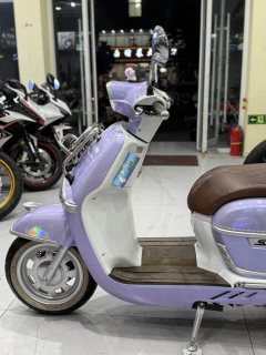 Weiduoliya Sixties 150Si - ფოტო 4