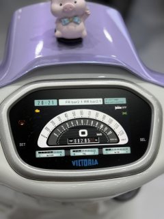 Weiduoliya Sixties 150Si - ფოტო 6