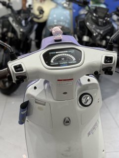 Weiduoliya Sixties 150Si - ფოტო 7