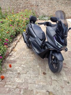 Sundiro Honda NS150GX - ფოტო 6