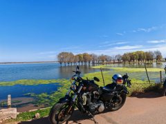 Harley-Davidson Forty-Eight athlete 1200 cc - photo 4