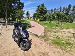 Sundiro Honda NS125RX - photo 6