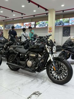Benda Polestones 03 Gray 300 cc - ფოტო 1