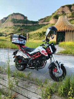 Benelli Tyrannosaurus TNT125 135 cc - photo 5