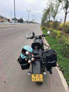 QJMOTOR Flash 250 - ფოტო 2