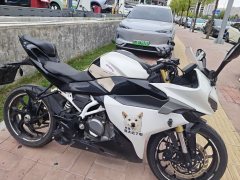 CFMOTO 250SR - ფოტო 2