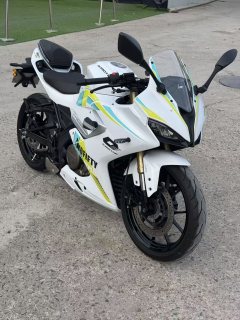 QJMOTOR SRK 250 - фото 1