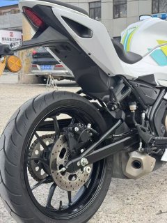 QJMOTOR SRK 250 - фото 10