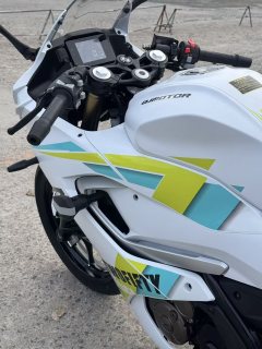 QJMOTOR SRK 250 - фото 11