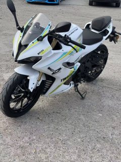 QJMOTOR SRK 250 - фото 3