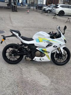 QJMOTOR SRK 250 - фото 6