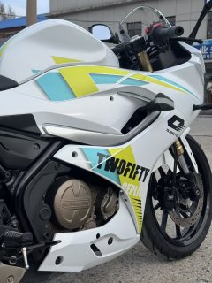 QJMOTOR SRK 250 - фото 8