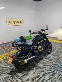 Cyclone RA600 560 cc - фото 5
