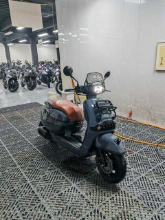 Weiduoliya Sixties 150Si - ფოტო 7