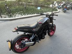 Benelli Young Lion Leoncino 250 - фото 2