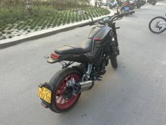 Benelli Young Lion Leoncino 250 - фото 3