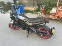 Benelli Young Lion Leoncino 250 - фото 4