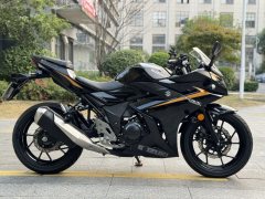 Haojue Suzuki GSX250R - ფოტო 4