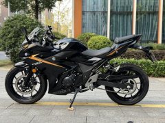 Haojue Suzuki GSX250R - ფოტო 6