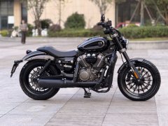 Benda Chinchilla 250 - photo 2