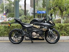 QJMOTOR SRK 250 - ფოტო 2