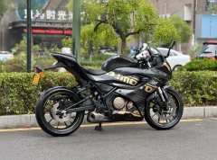 QJMOTOR SRK 250 - ფოტო 3