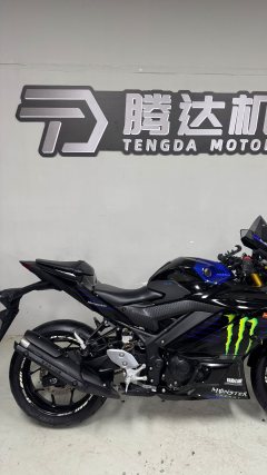 Yamaha YZF-R3 320 cc - ფოტო 3