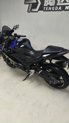 Yamaha YZF-R3 320 cc - ფოტო 6