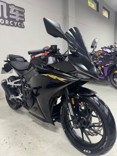 Kayo 250RR Thornbird - photo 5
