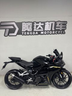Kayo 250RR Thornbird - photo 7