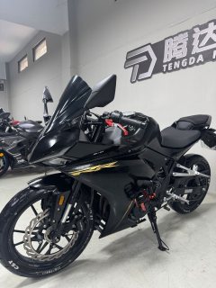 Kayo 250RR Thornbird - photo 8