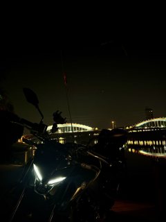 Yamaha MT-03 320 cc - ფოტო 3