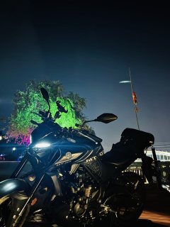 Yamaha MT-03 320 cc - ფოტო 4