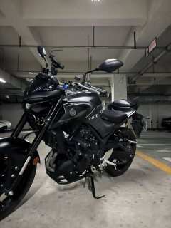 Yamaha MT-03 320 cc - ფოტო 8