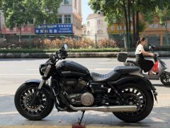 Benda Polestones 03 Gray 300 cc - ფოტო 7
