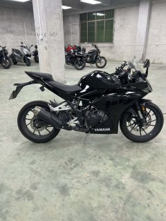 Kayo 250RR Thornbird - фото 1